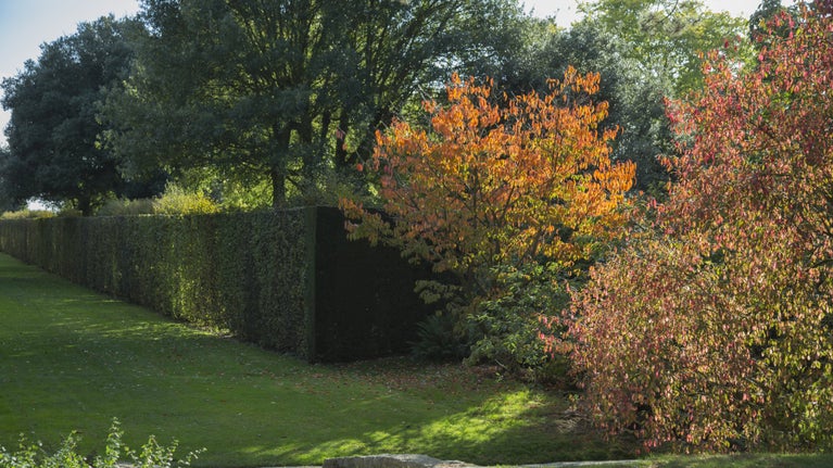View of the garden in autumn at Hidcote, with grassy lawns and trees with orange, green and brown leaves